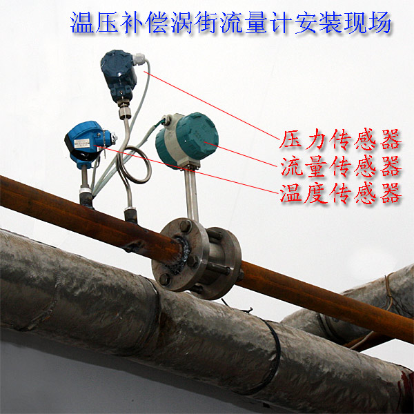 带温压补偿涡街安装示意图